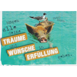 Postkarte - Schweine Wünsche